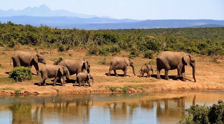 La beaut sauvage de lAfrique du Sud