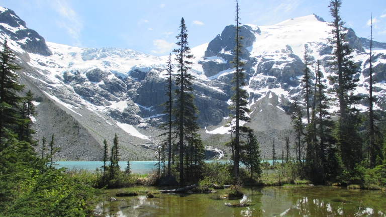 Dcouvrez l'ouest canadien, une nature hors du commun