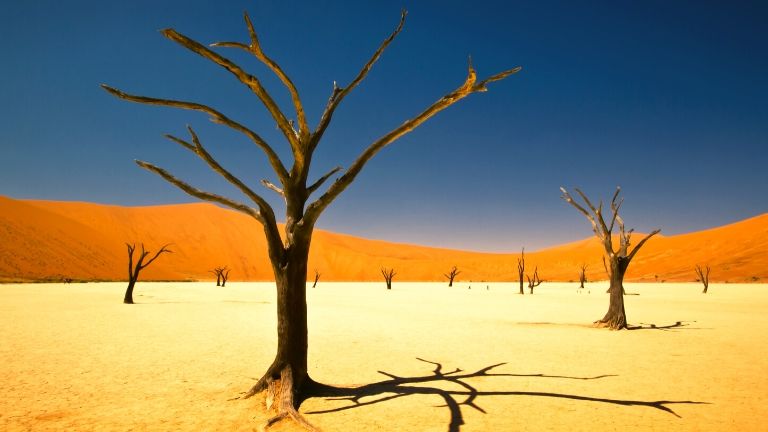 Voyage Namibie deadvlei