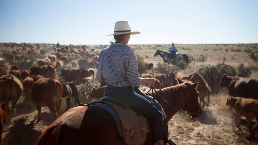 Colorado Cowgirl