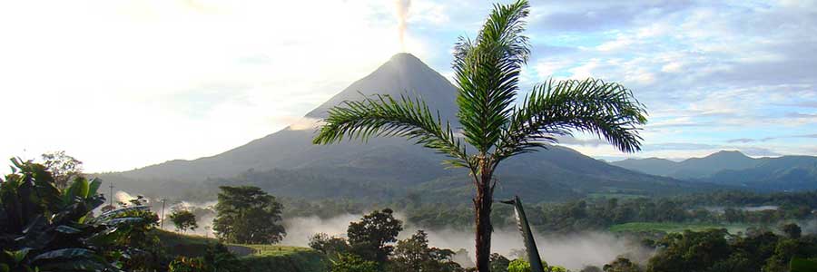 volcan et palmier au costa rica