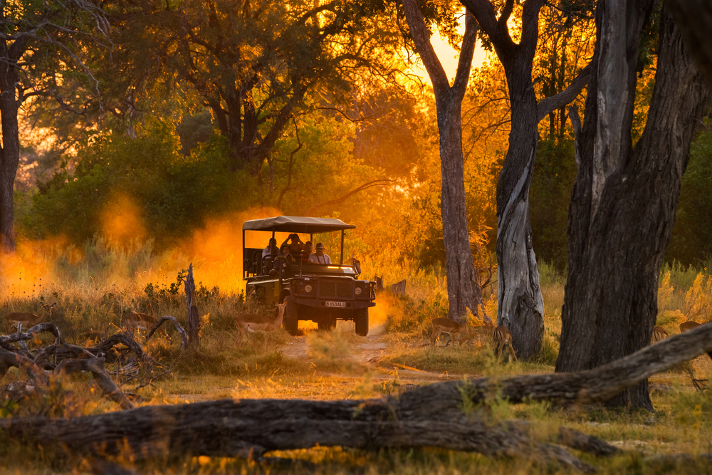 Voyage au Botswana sur mesure